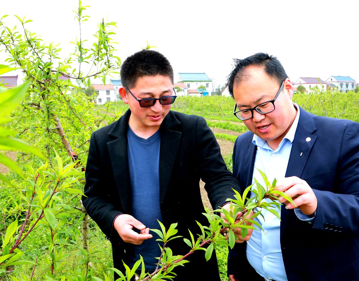 子洲县富发农业科技公司黄芪产品营销环境分析-经济环境