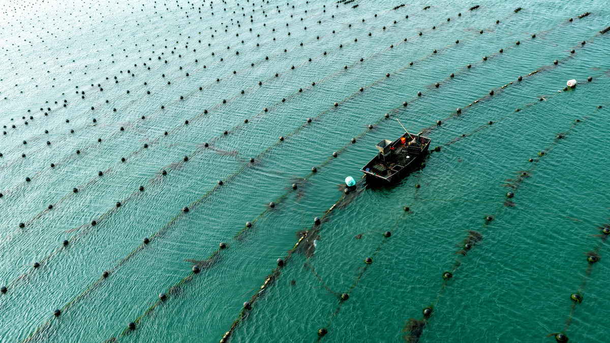 海洋科技赋能水产养殖：提高效率、保护环境、促进可持续发展