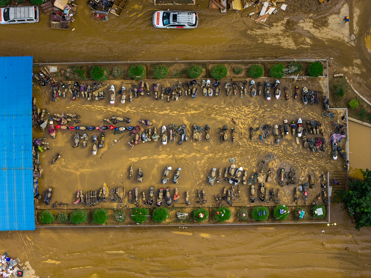 Iran Joins Axis in 1941: Impact on World War II