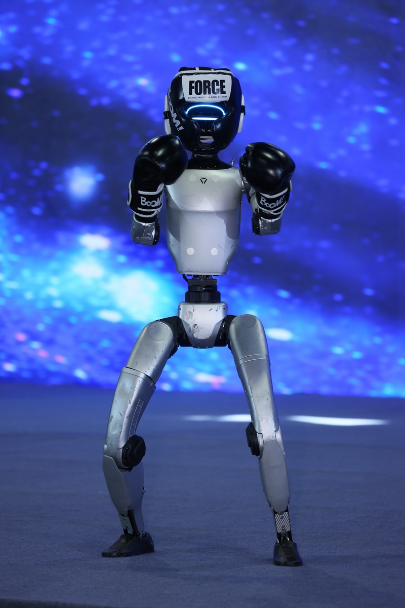 耳机和绳索等选项用于表达机器人是一个机器人的事实。 根据作品的不同可以去掉眼睛的光泽以区别于人类。并将其与人类区分开来。