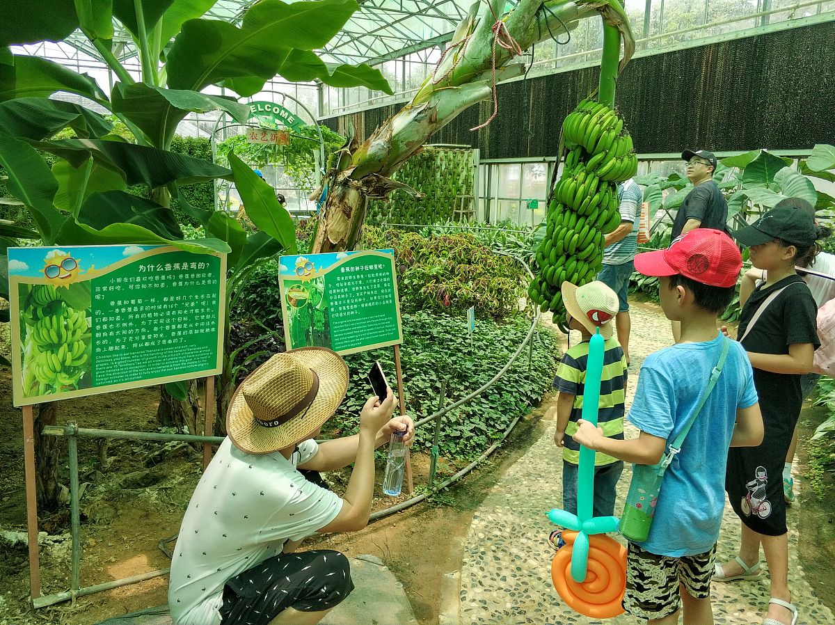 乡下开儿童乐园赚钱吗？详细方案助您开启财富之门！