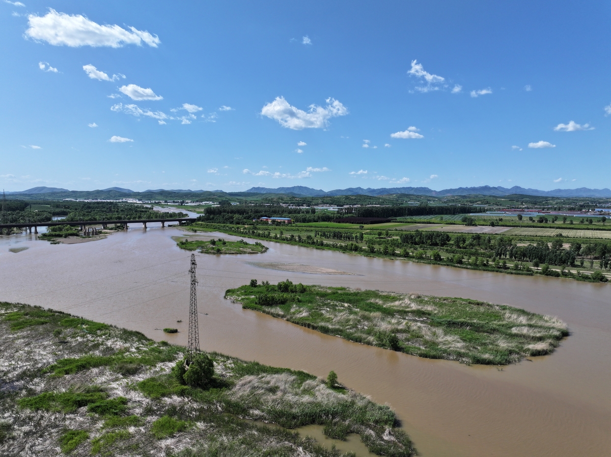 兰州新区秦王川湿地分类：水域、沼泽、河岸、草甸、森林