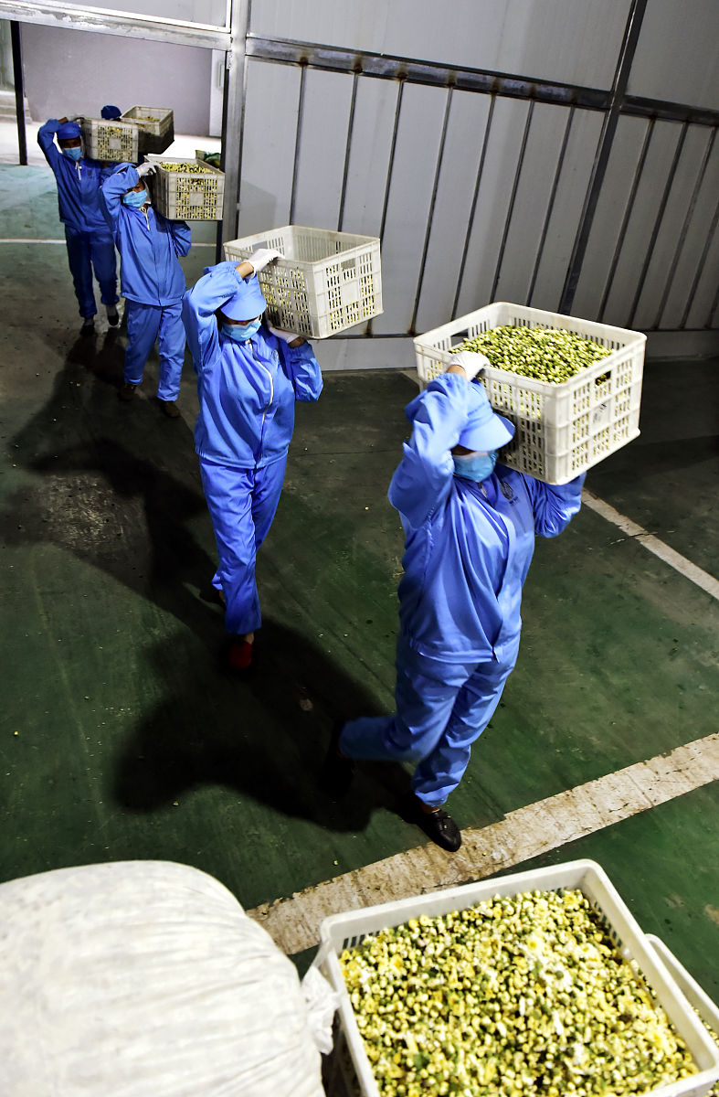 重庆市城市建设技工学校2019招生计划及贫困补助政策