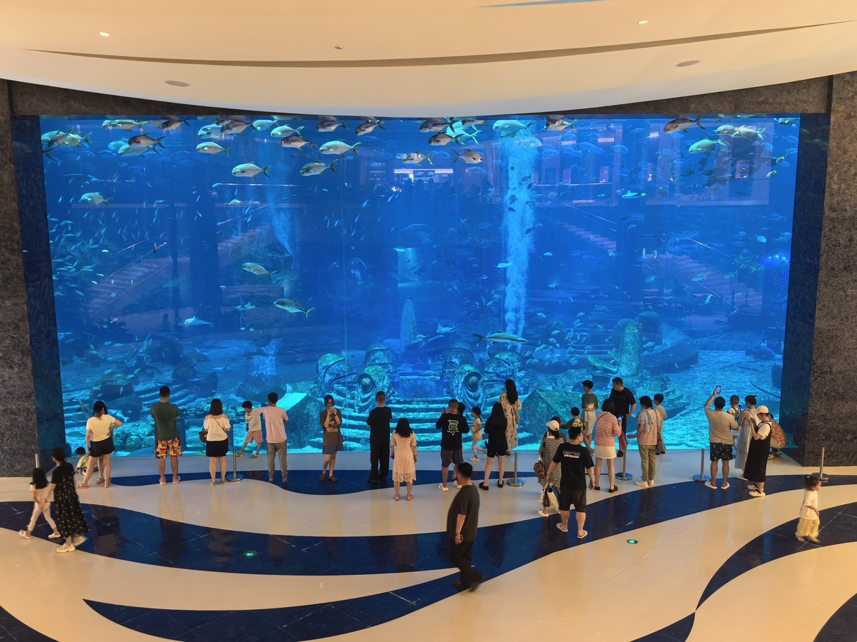 海洋馆多媒体升级改造案例：香港、美国、上海、日本