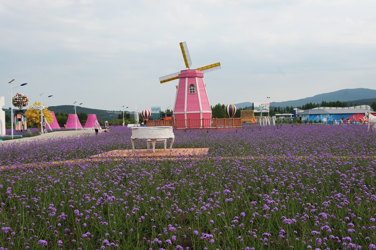 探秘江西宝藏旅游地：花漾谷文旅推荐