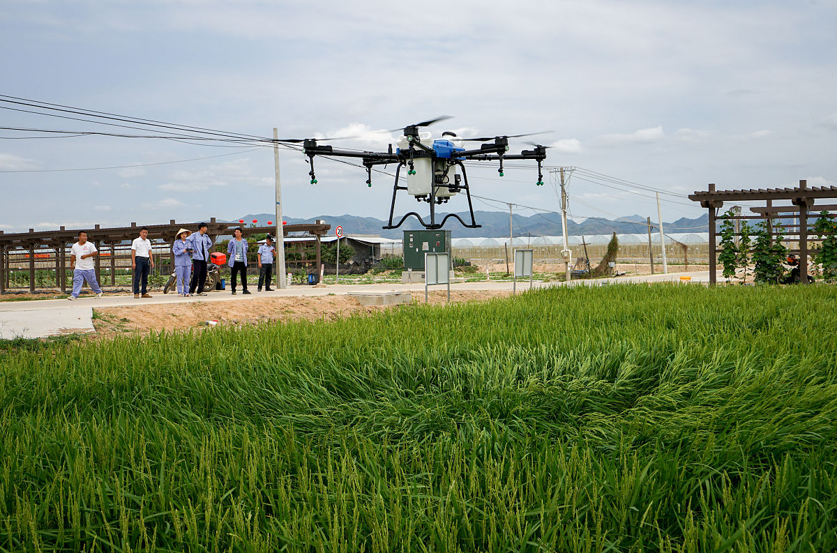 江苏省淮安技师学院农业电气化技术就业方向是什么