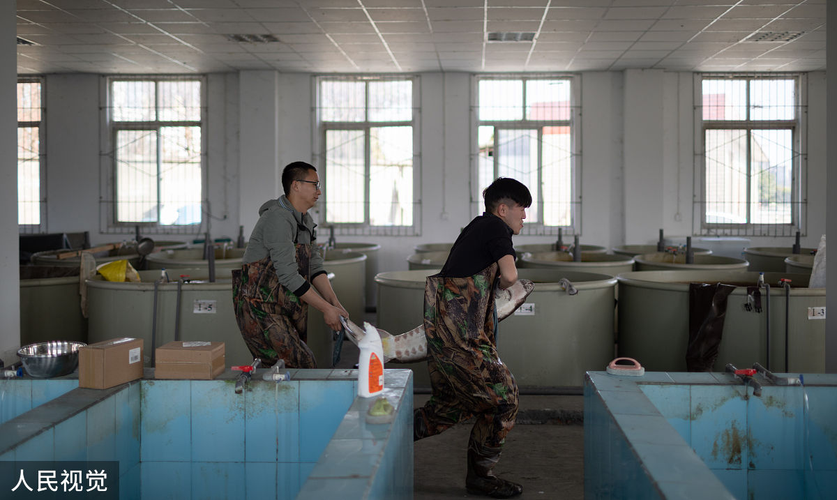 四川省水产学校计算机应用专业：课程设置、就业方向及行业应用