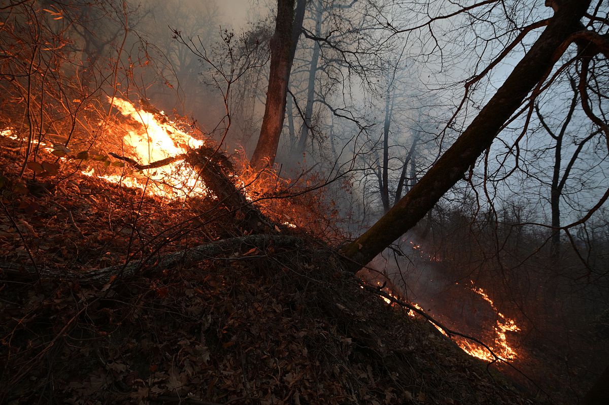 参加延长县消防队宣传会，深化农村电路火灾预防论文写作