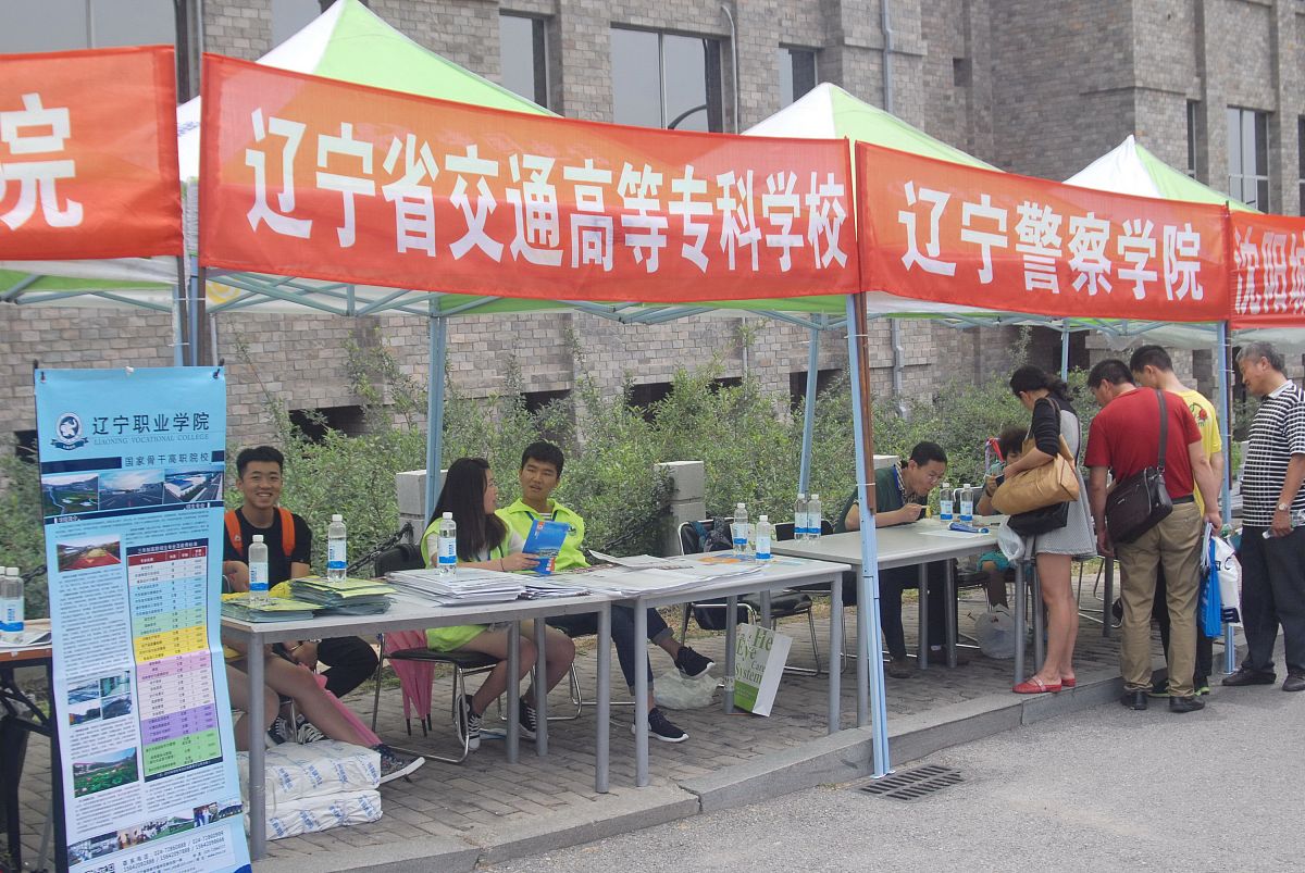 大连东软信息学院招生电话：优劣势分析及优化建议