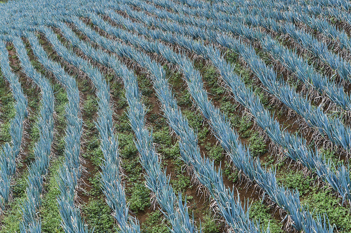 探秘多彩贵州：史继忠《贵州文化解读》读后感