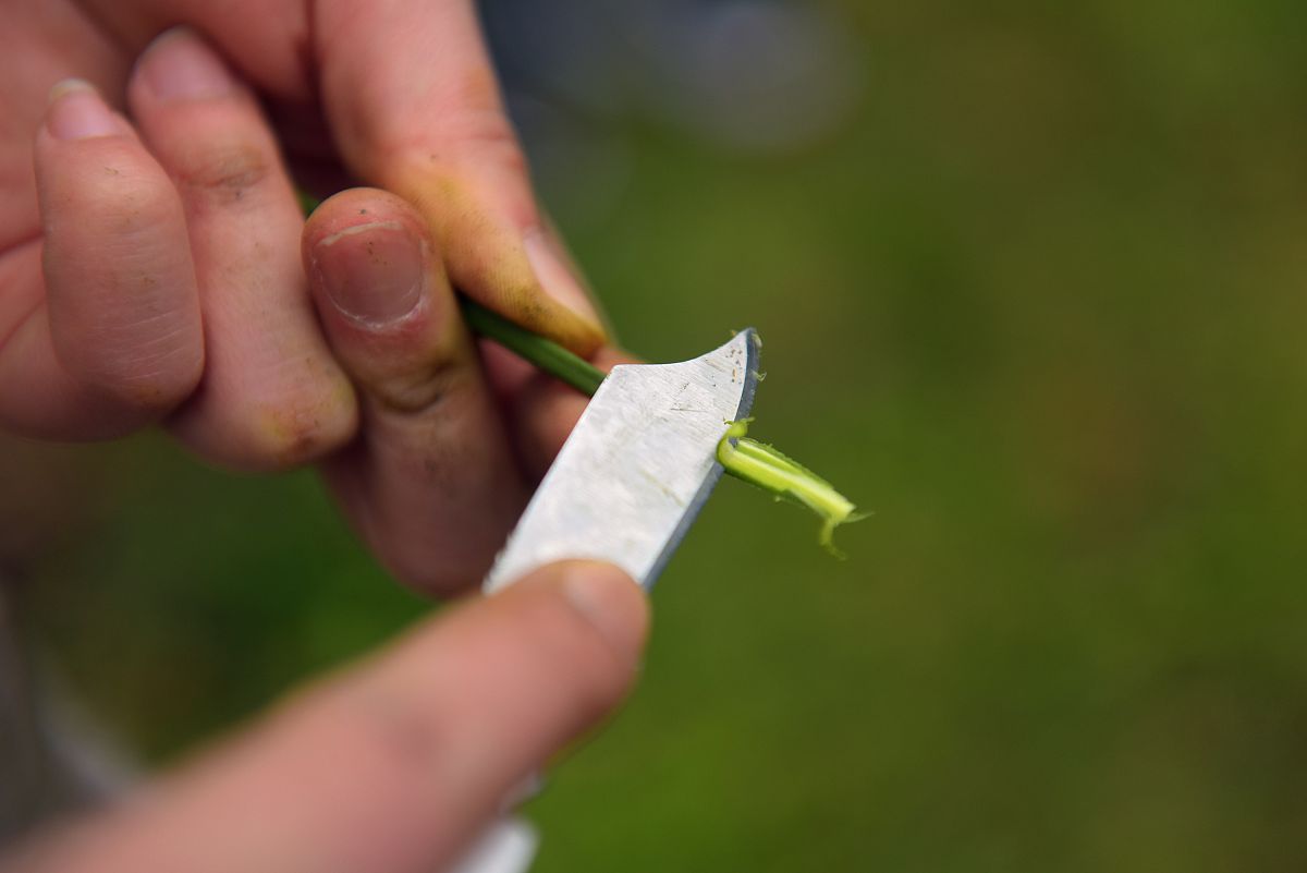 西安商贸旅游成人中等专业学校会计电算化专业怎么样