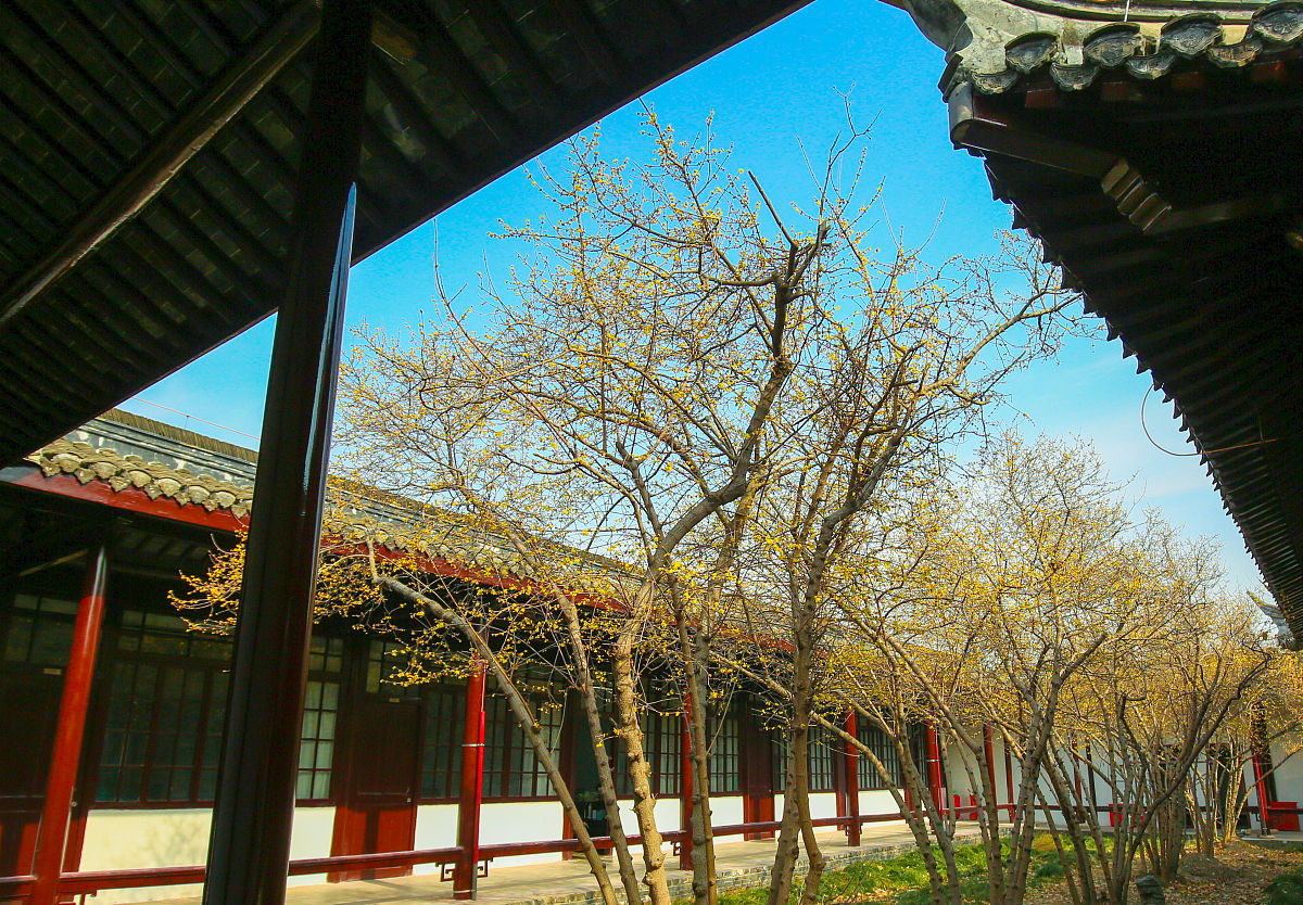 镇江市高等专科学校2021年招生简章