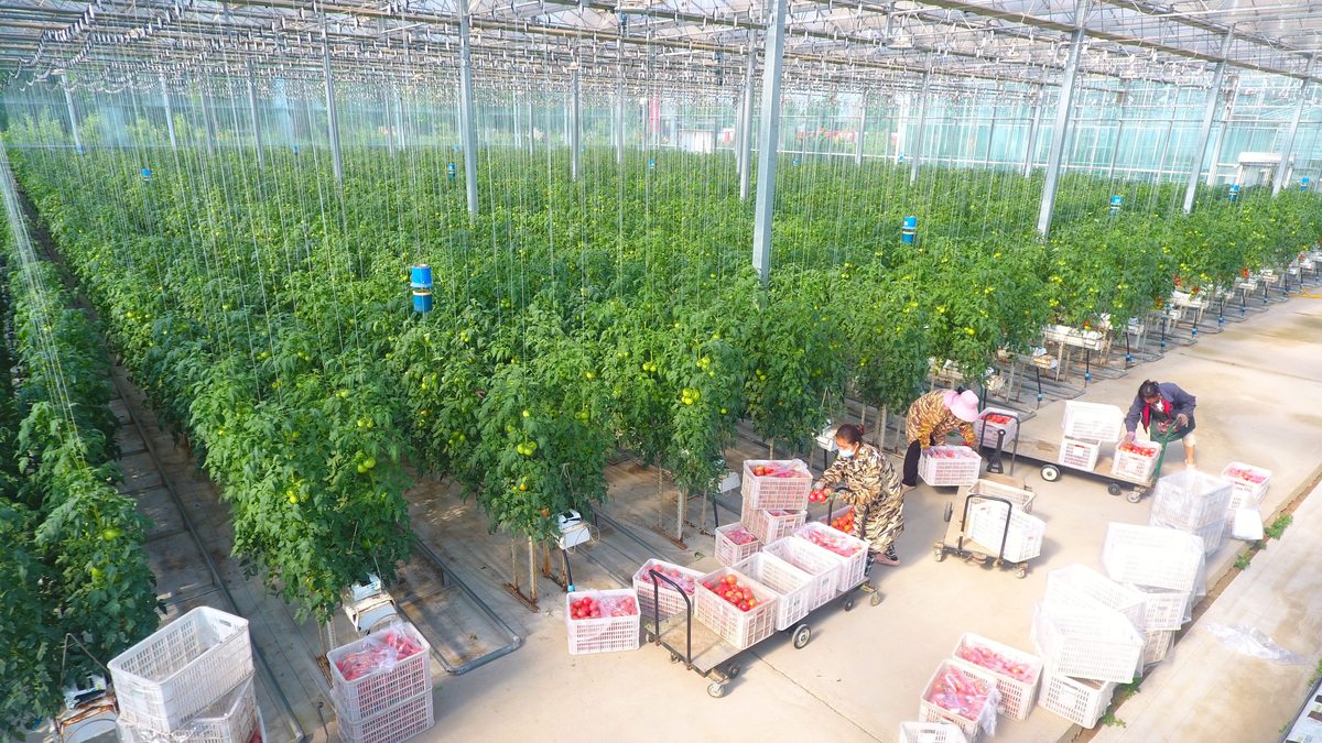 请多 子洲县富发农业科技有限公司发展历程进行写作最好有数据支撑保证内容逻辑性不要乱写：