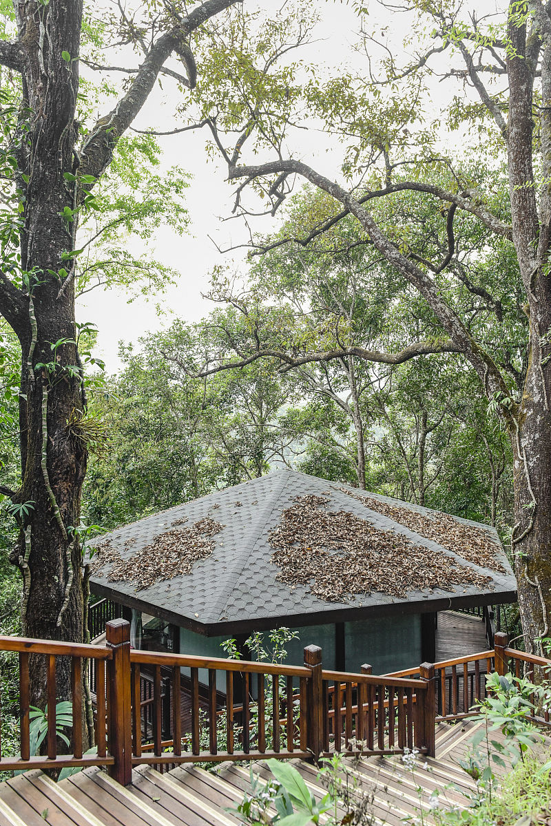 请分析星野酒店集团和裸心谷经营上的异同并比较其各自的特色与优劣