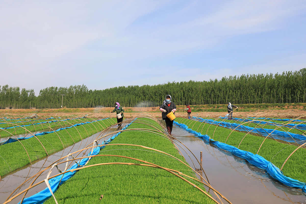 唐山建筑工程学校2021年招生专业介绍：建筑、土木、机电、信息等领域任你选择