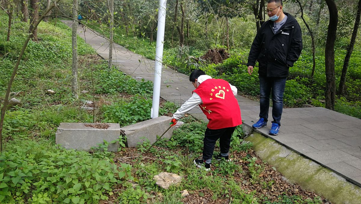 绿色守望：环保志愿者陈月的勇敢抗争