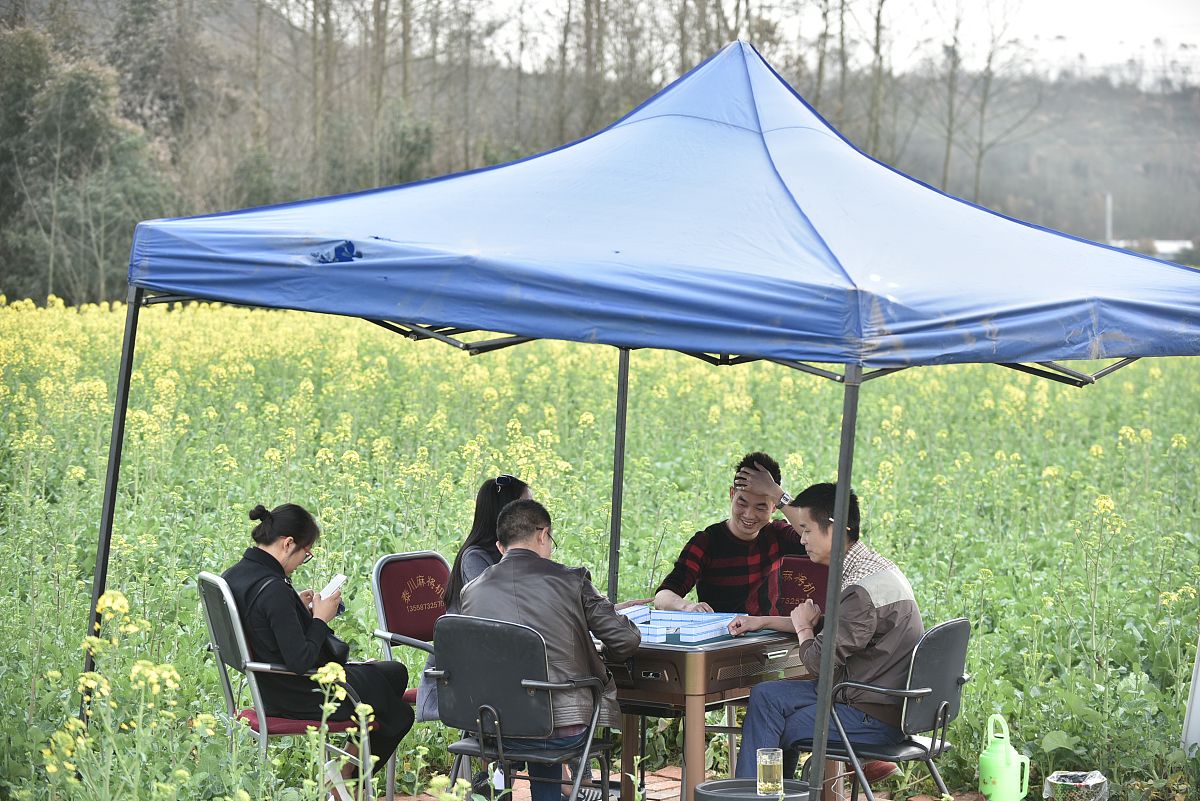 四川麻将技巧攻略：快速提升牌技，赢牌秘诀