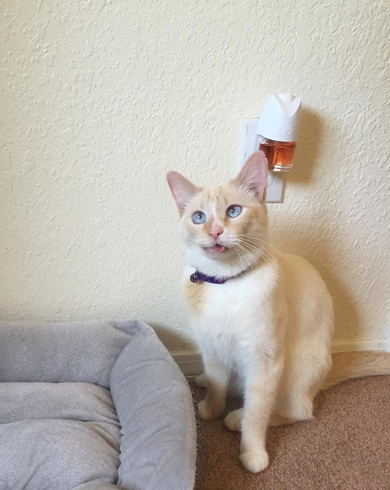 女生给男生准备零食，男生感动，女生该怎么回复？