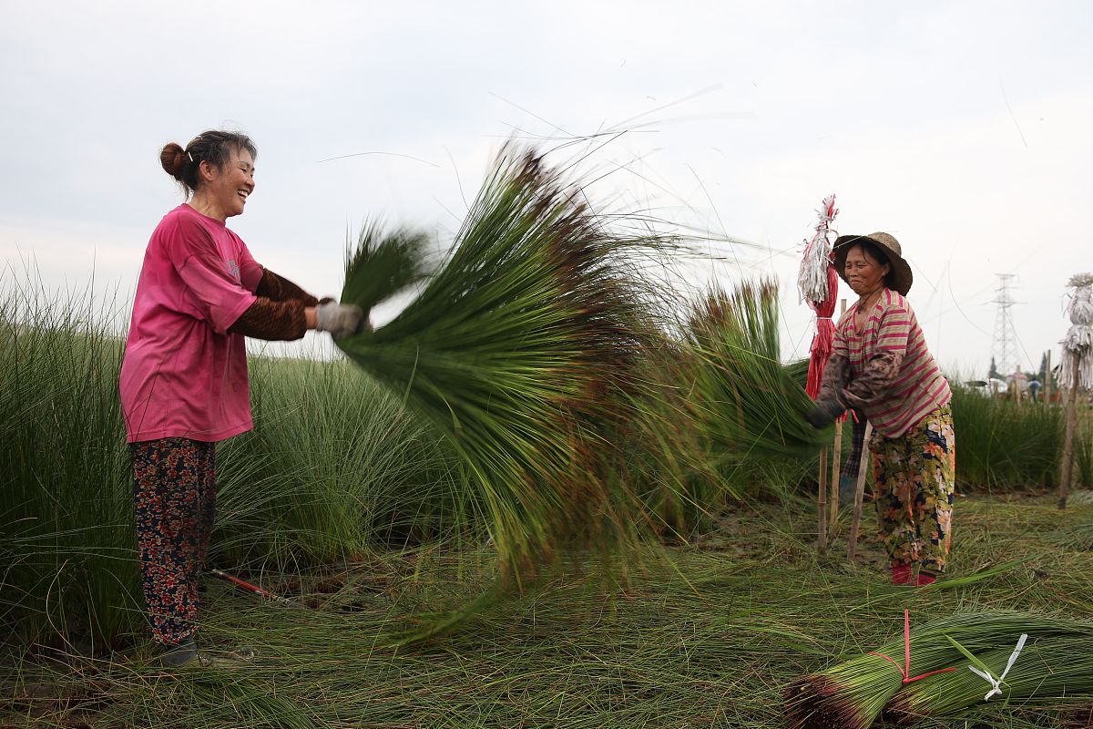 济宁农业学校2021年招生简章