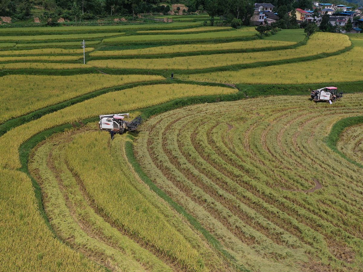 江南水乡月令：春耕夏耘秋收，一幅农耕文明的美丽画卷