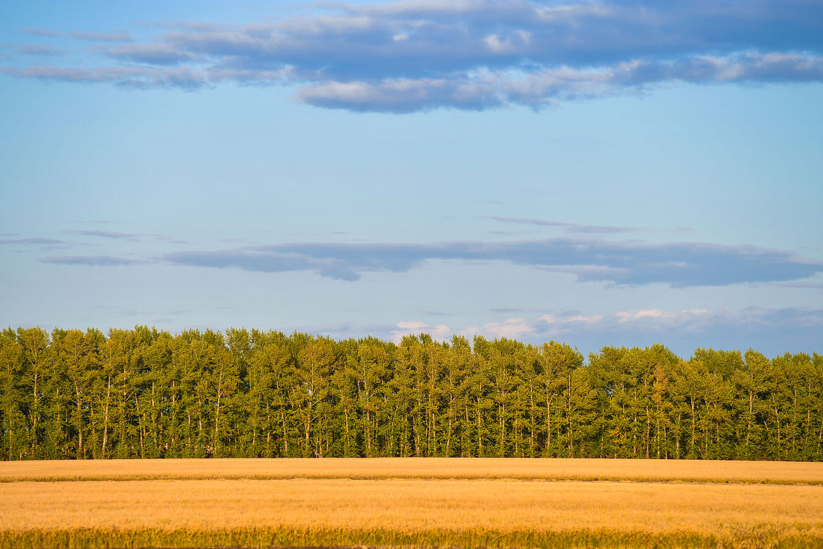 黑龙江农垦科技职业学院市场营销专业优势怎么样发展前景好不好呢