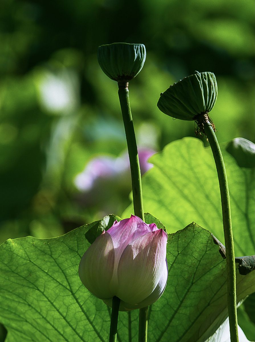 西昌高职招生之西昌现代职业技术学校招生