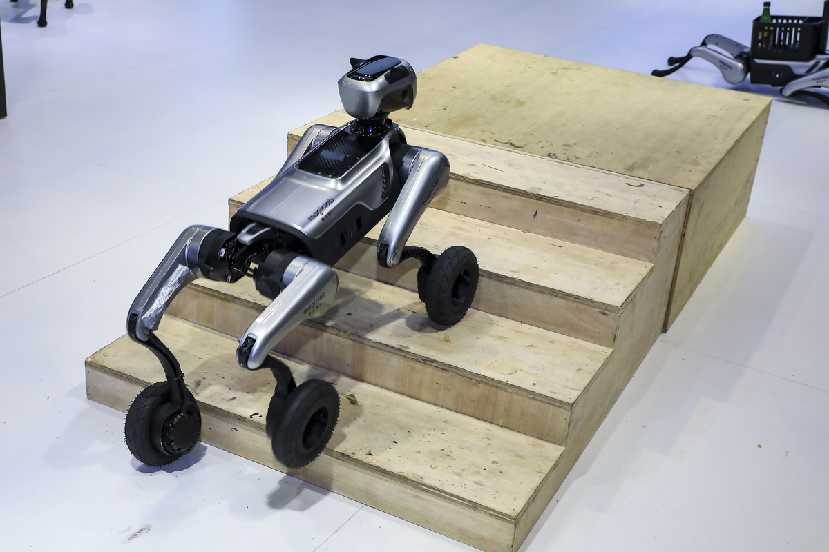 撰写非平整路面上的仿生四足机器人步态规划