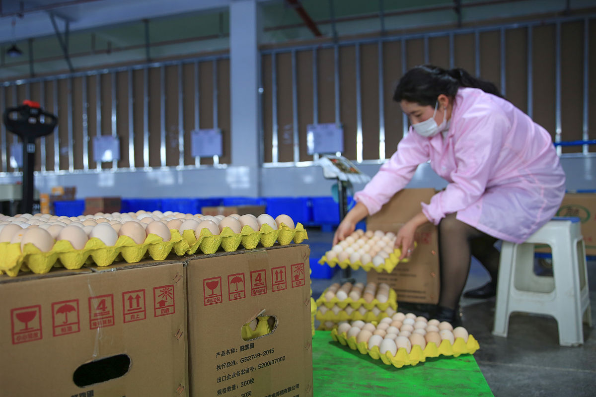 贵州食品工程职业学院客户服务专业好不好发展前景怎样怎么样