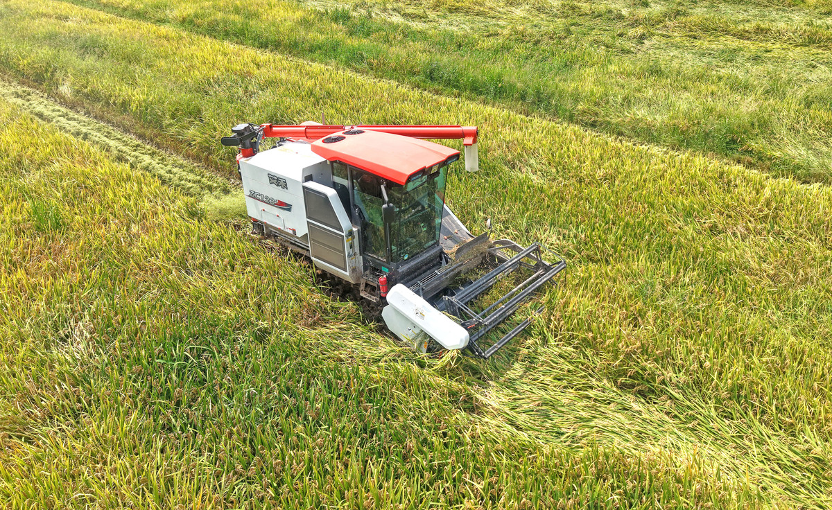 水稻收割机种类：横切式、垂直式、挂式和自行式