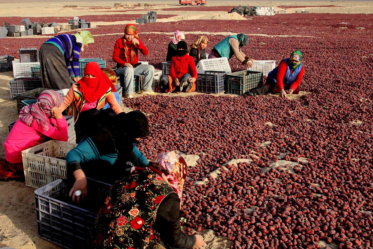 库尔勒市：红枣之乡，天山与沙漠的交汇