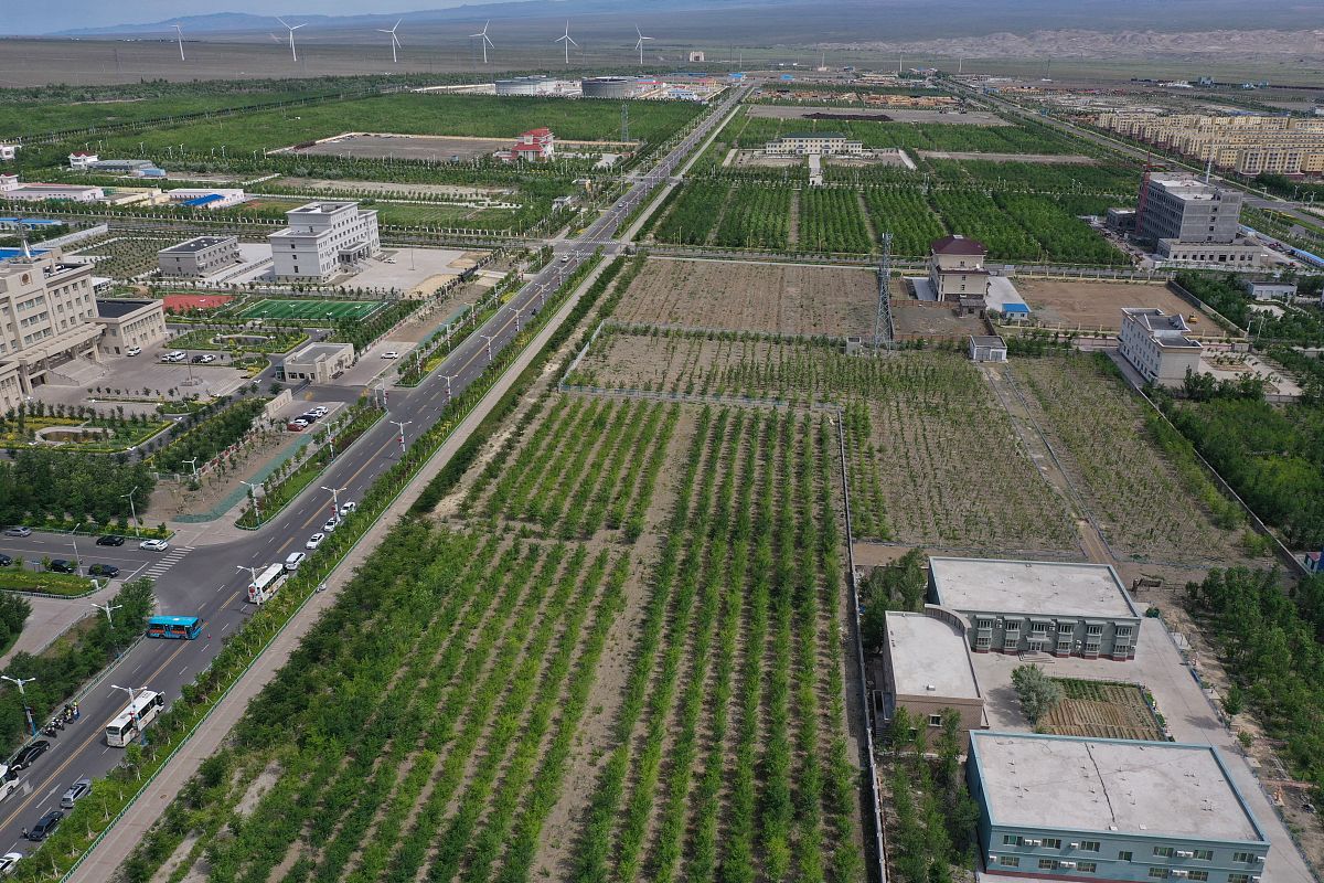2019年6月23日,新疆阿拉山口市一片葱绿,充满生机.
