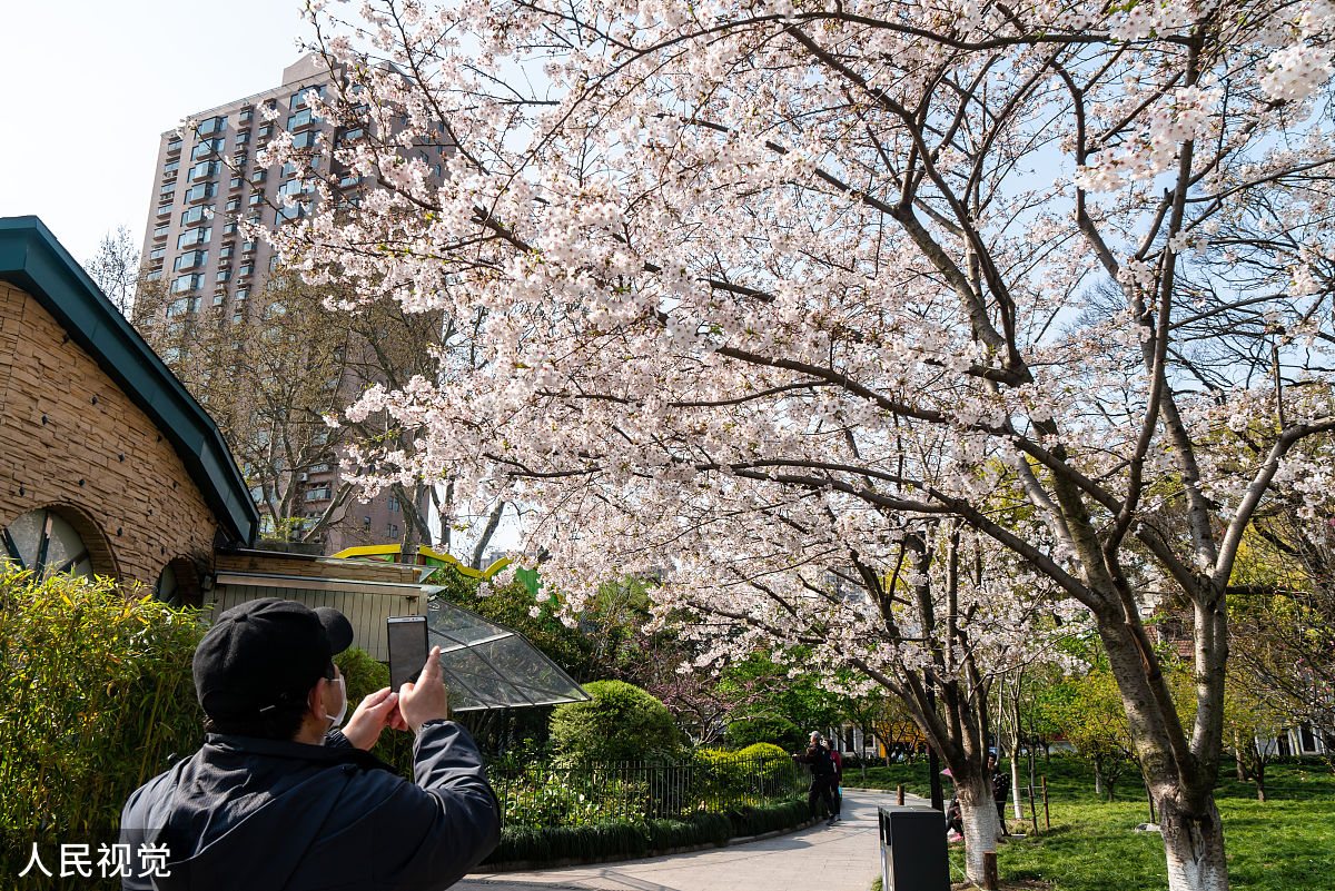 2020年3月23日,上海,有着"最美地铁口"之称的地铁8号线虹口足球场外的