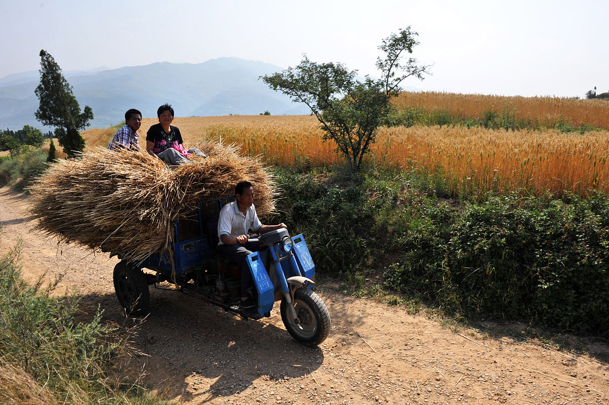 曲靖农业专业学校五年制专业计划 - 培养农业人才的摇篮