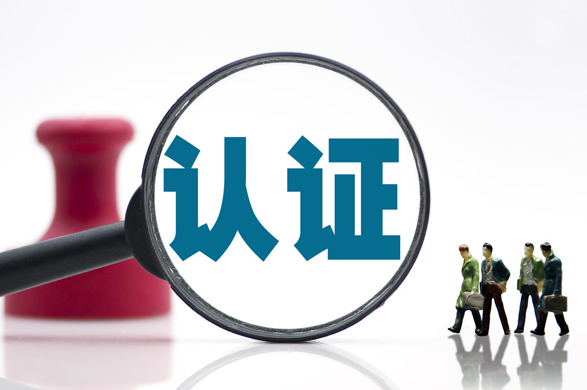 ISO 9000 认证费用：影响因素及标准