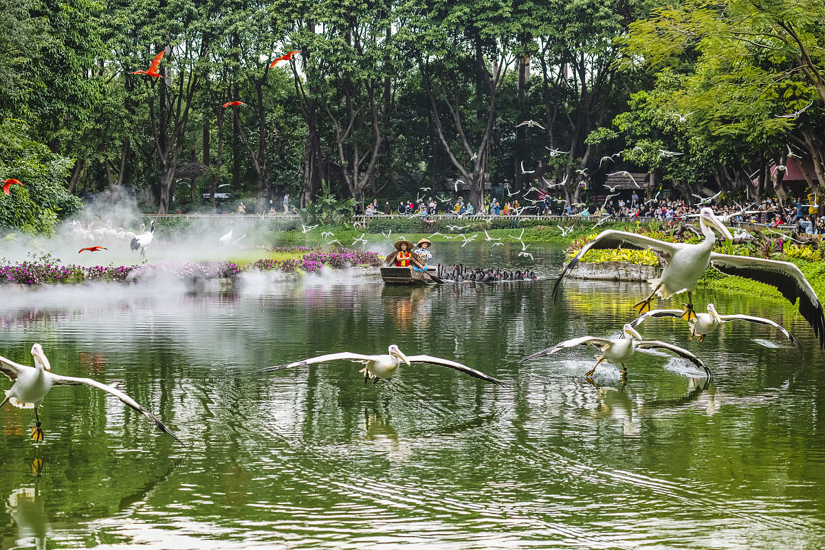 深圳四海公园个人拿5w的小音响唱歌最大的音量不超过多少帮我用200字详细描述