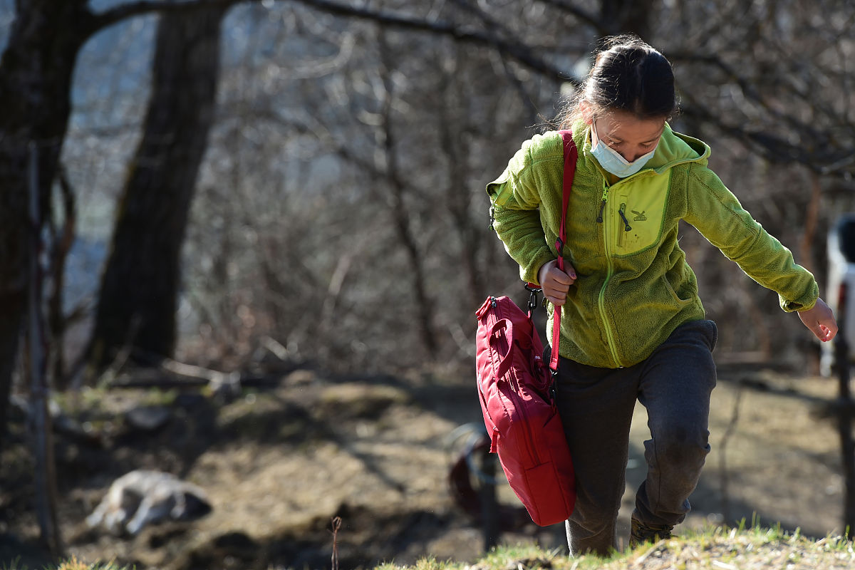小学语文导入语范例：300字以上激发兴趣，高效课堂