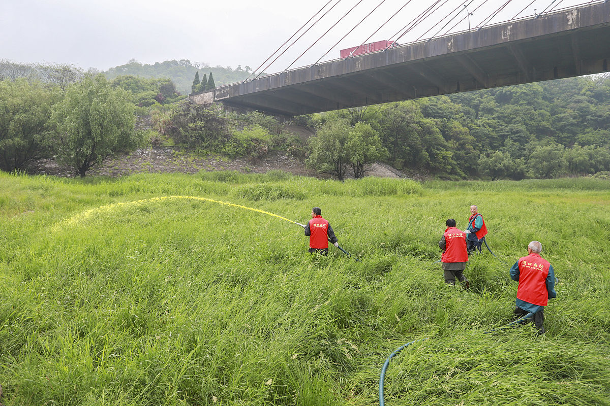 2021年4月22日,江西省九江市湖口县血防站组织专业灭钉螺队伍,正在鄱