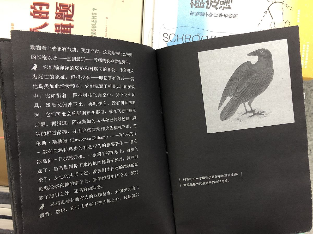 《偷影子的人》读后感：成长、救赎与内心世界的探索