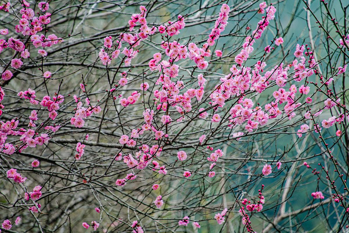 赣州工业职业中等专业学校2022年招生简章