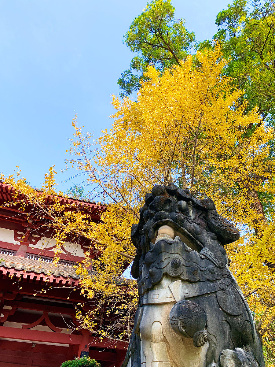 王者荣耀李白千年之狐皮肤台词大全：燃尽天下，狐火舞动！