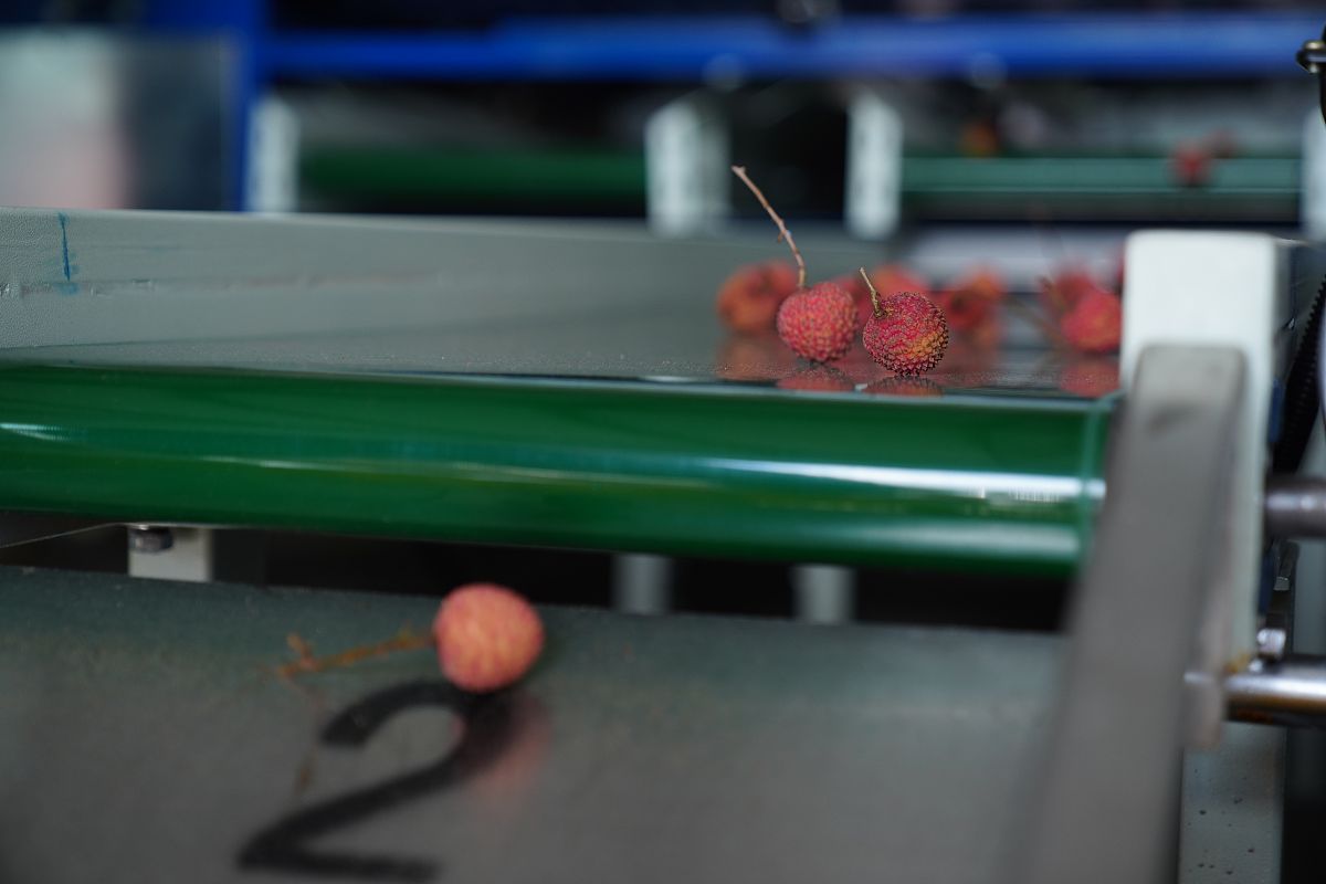 成都机电工程学校2019年有哪些专业