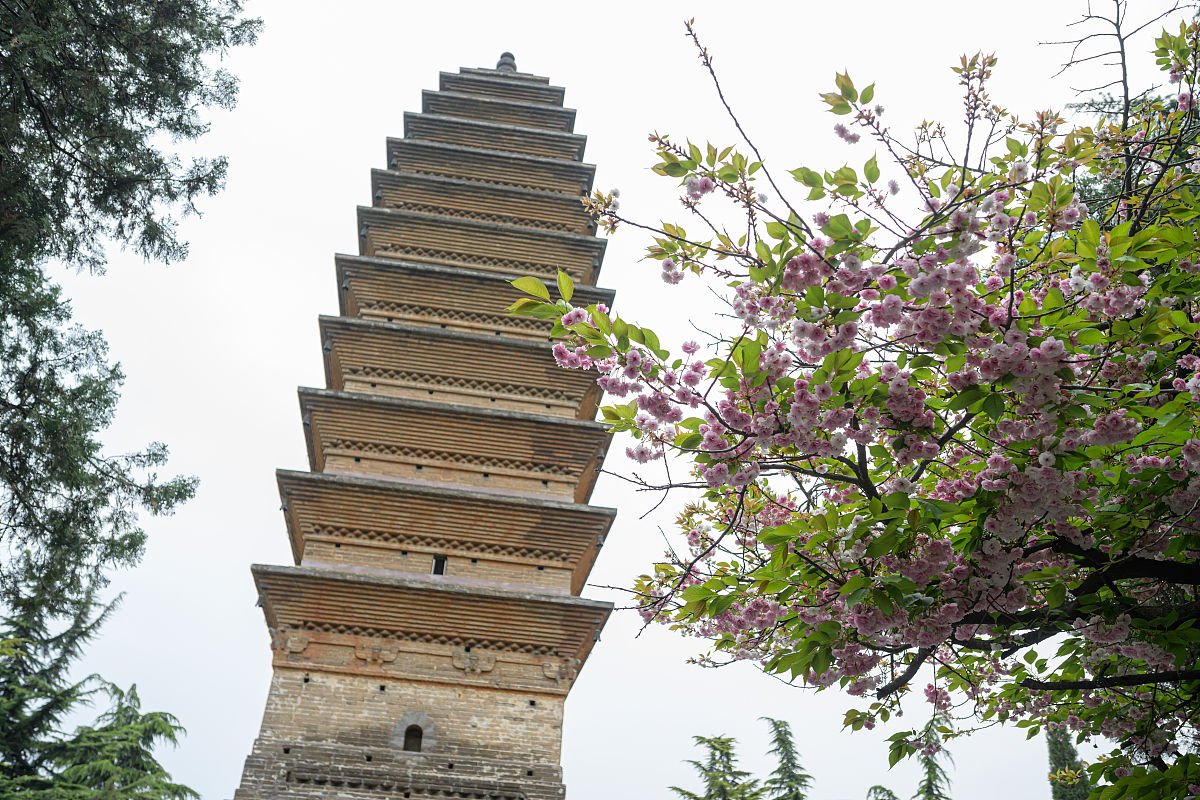 如何获取百度网盘的免费会员