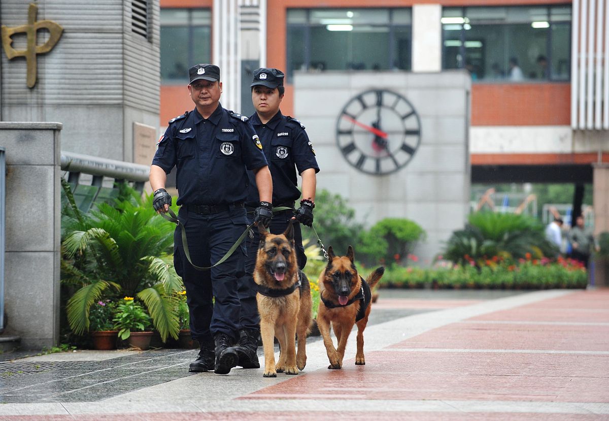 牵犬东门是什么意思_词语牵犬东门的意思
