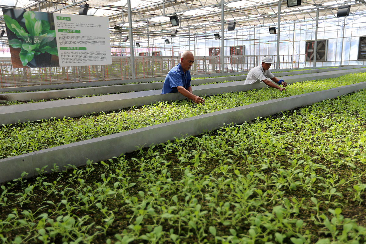 选择重庆职业学校作物生产技术专业怎么样？