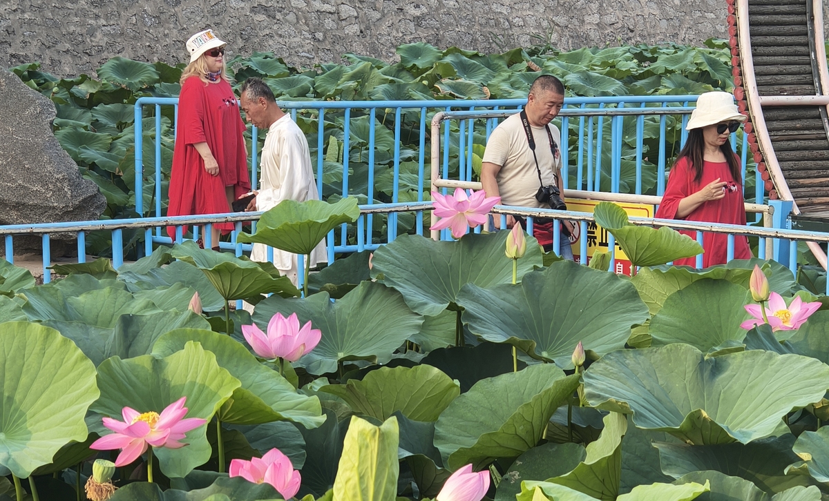 我想去淄博旅行给我推荐当地美食和美景