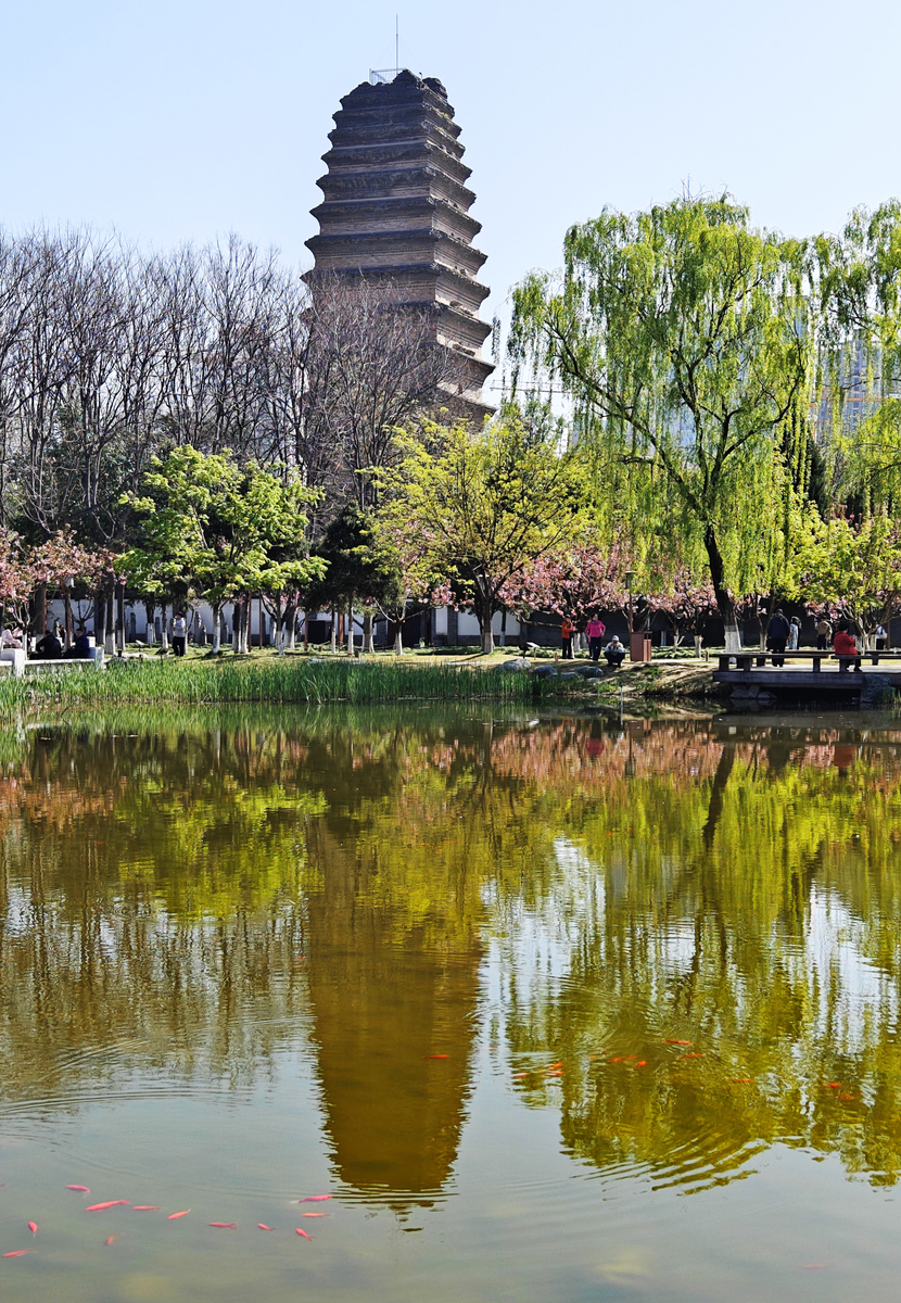 2026年4月1日,西安,小雁塔.