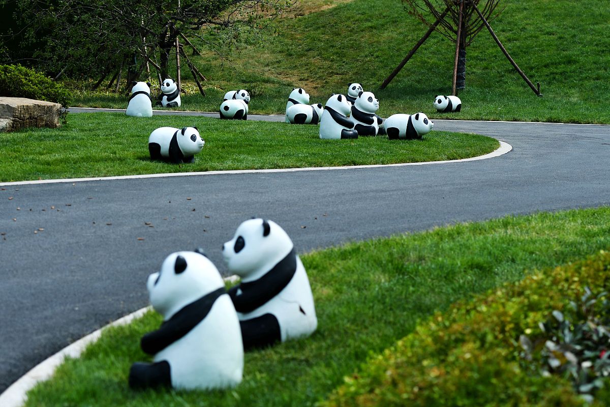 青岛西海岸航海职业学校升学就业前景怎么样？深度解析！