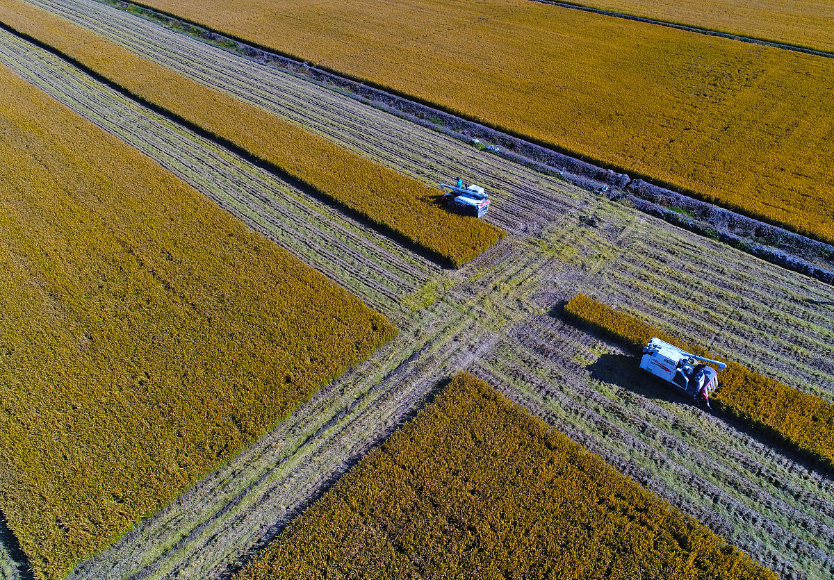 商丘职业技术学院种子生产与经营专业好不好?就业前景怎么样