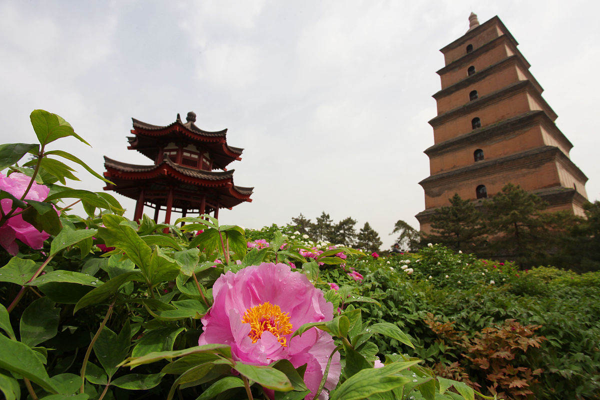 陕西旅游烹饪职业学院热门专业及就业前景