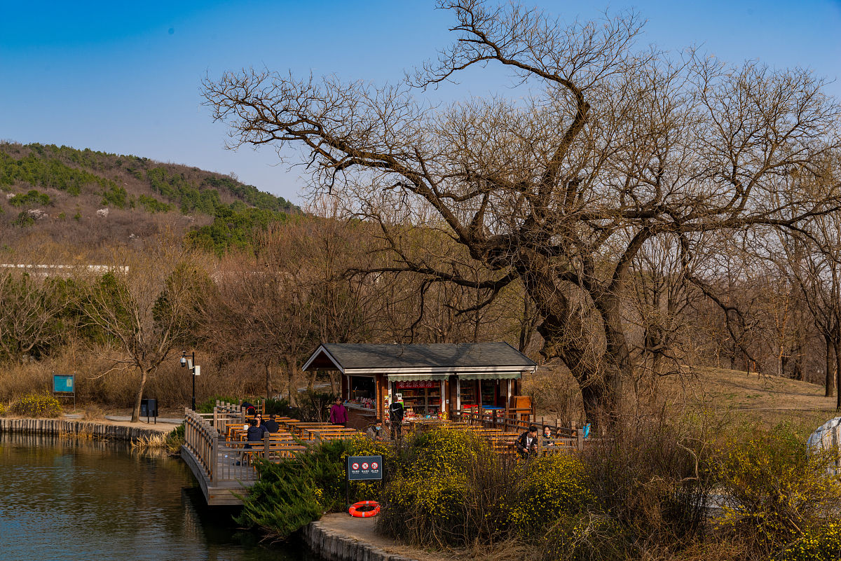 春之颂 | 100字文言文作文